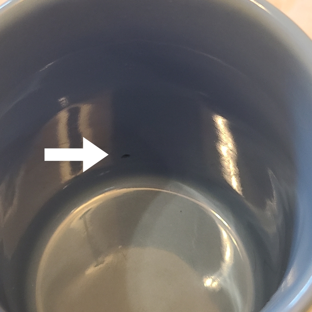 Vintage Holly Hobbie Mug 2002 "Start Each Day In A Happy Way" Blue & White - Picture 10 of 10